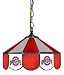 Ohio State University Buckeyes Stained Glass Bar Light