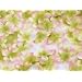 Silk 4-Petal Flowers Confetti (400 flowers per bag) - Green/Pink