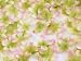 Silk 4-Petal Flowers Confetti (400 flowers per bag) - Green/Pink