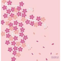 KONOMI　綿小風呂敷(50cm)・さくら(4月)