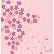 KONOMI 綿小風呂敷(50cm)・さくら(4月)