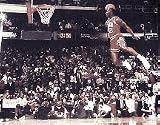 Michael Jordan 16x20 Air