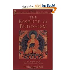 Essence of Buddhism: An Introduction to Its Philosophy and Practice (Shambhala Dragon Editions)