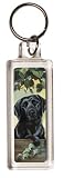 Outdoor Living : First Frost Black Labrador Keyring