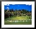 Cornwall Cricket Club, Auckland, New Zealand Framed Art Poster Print by David Wall, 31x25