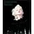 But That's Another Story: A Photographic Retrospective of Milton H. Greene