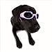 Doggles Dog Goggles ILS With Skull Crossbones/ Smoke Lens - Small