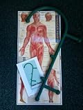 Thera Cane Massager with Laminated Trigger Point Poster