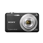 Sony Cyber-shot DSC-W710 16.1MP Point & Shoot Camera - Black