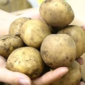 訳ありじゃがいも「男爵」【S-3L】10kg