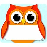 Carson Dellosa Colorful Owl Name Tags (150036)