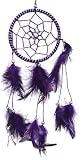 DreamCatcher ~ Purple DreamCatcher with Feathers ~ Approx 3.5
