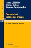 Geometrie et theorie des groupes