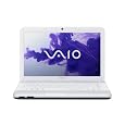 Sony EG3 Series Laptop VPCEG3PFX/W 14-Inch Laptop (Glacier White)