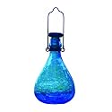 Wasp and Yellowjacket Trap - Blue