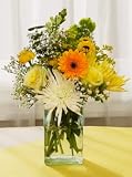 Yellow Gerbera Daisy Bouquet - 20 Stems - B0027IUVWA