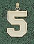 Extra Large 1" Polished Single Number Polished Pendant - 14KT Gold Jewelry