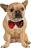 Rubies Costume Company Red Plaid Pet Christmas Bowtie, Medium/Large