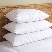 Egyptian Cotton Pillow - Queen Bed Pillow
