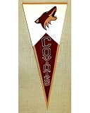 Phoenix Coyotes Classic NHL Pennant (Framed)