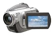 Panasonic VDR-D310 3.1MP 3CCD DVD Camcorder with 10x Optical Image Stabilized Zoom