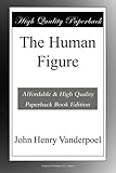 The Human Figure