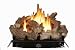 World Marketing GLD2450 Vent-Free Gas Log Set