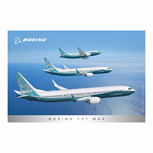 737 MAX Postcard