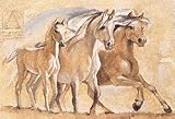 Eurographics TC1111 Talantbek Chekirov, Freedom 40 x 50 cm, Hochwertiger Kunstdruck - Pferde