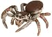 Books I use for a Kindergarten Science unit on Spiders