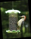 1 Quart Forever Feeder - Neon Green