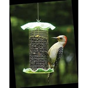 1 Quart Forever Feeder Neon Green