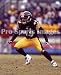 Troy Polamalu Pittsburgh Steelers Glossy 8x10 Photo