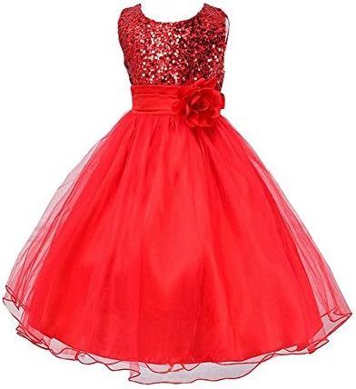 Abb House Little Girls Sequin Mesh Sleeveless Flower Party Tulle Dress (110/4T, red)