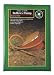 Academy Broadway #80840 Bellow Foot Pump