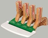 Gastroesophageal Reflux Disease GERD Model Set of 4