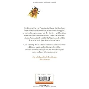 Und sie fliegt doch: Eine kurze Geschichte der Hummel