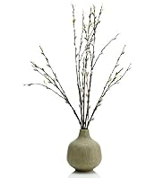 Salix Willow