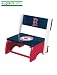 Boston Red Sox MLB Flip-Up Step-Up / Foot Stool