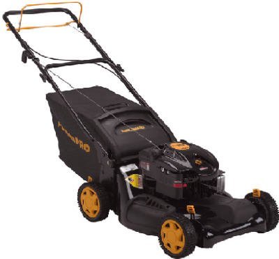 CA 213N1 FWD LWN Mower CA 213N1 FWD LWN Mower