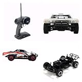 1 24 4WD Short Course Truck RTR by TEAMLOSI