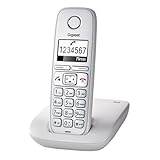 GIGASET E310