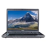 Toshiba Satellite L355D-S7901 Turion 64 X2 RM-72 2.1GHz 3GB 250GB DVDÂ±RW DL 17″ Vista Home Premium w/Webcam