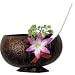 Coconut Cup