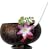 Coconut Cup