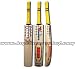 Sporting Goods : BDM Titanium English Willow Cricket Bat, Short Handle