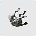 MP3 Albums