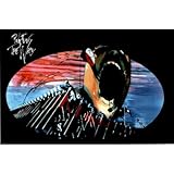 Pink Floyd (The Wall, Marching Hammers) Music Poster Print