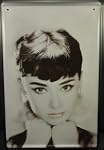 Audrey Hepburn Pink Lipstick manifest...