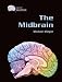 The Midbrain (Gray Matter)